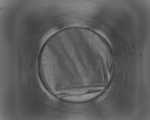 X0000062630991200601111055