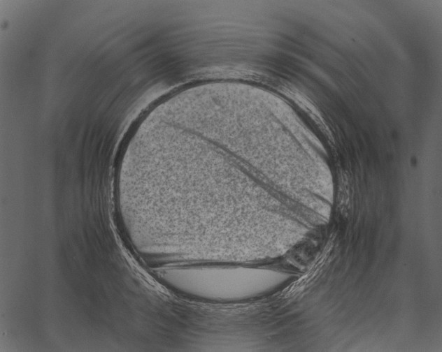 X0000062630992200601111055