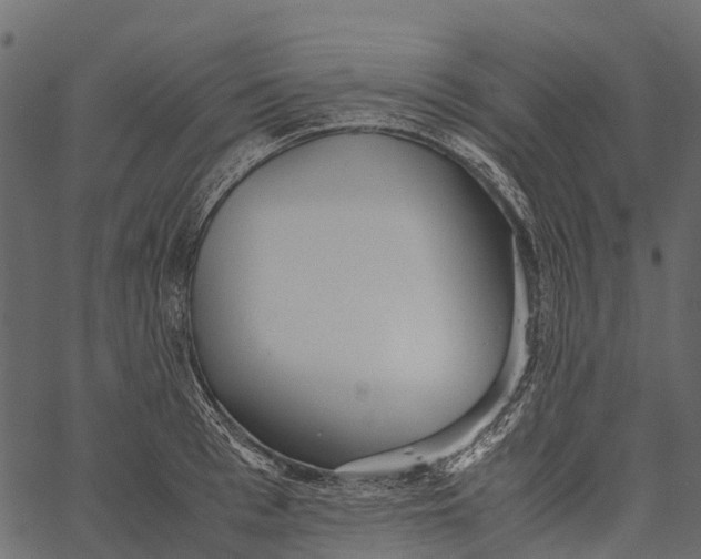 X0000062630993200601111055