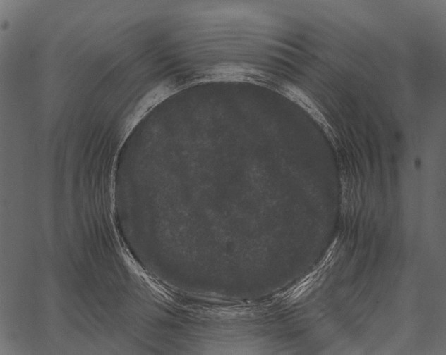 X0000062630994200601111055