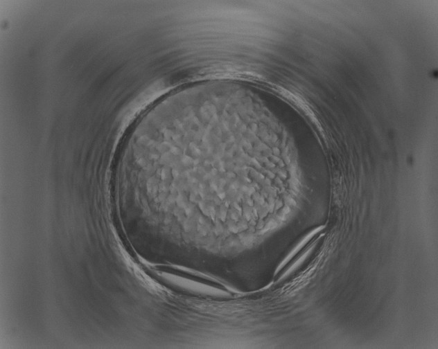 X0000062630995200601111055