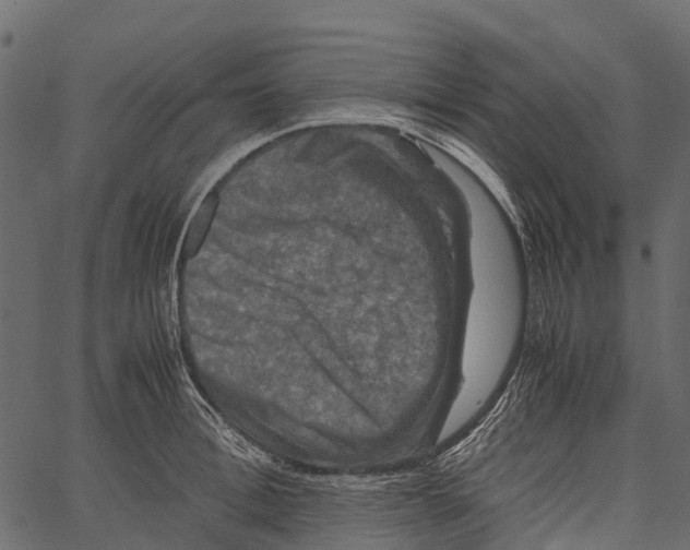 X0000062630996200601111055