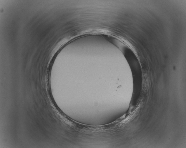 X0000062630997200601111055