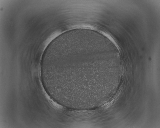 X0000062630999200601111055