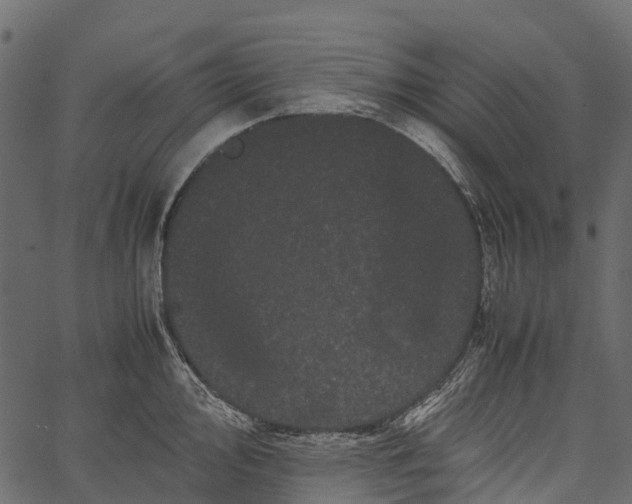 X0000062631000200601111055