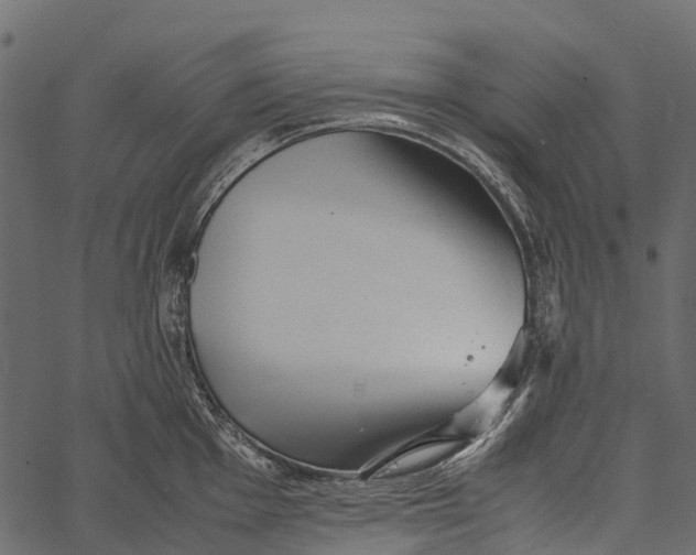 X0000062631001200601111055