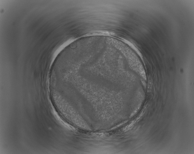 X0000062631003200601111055