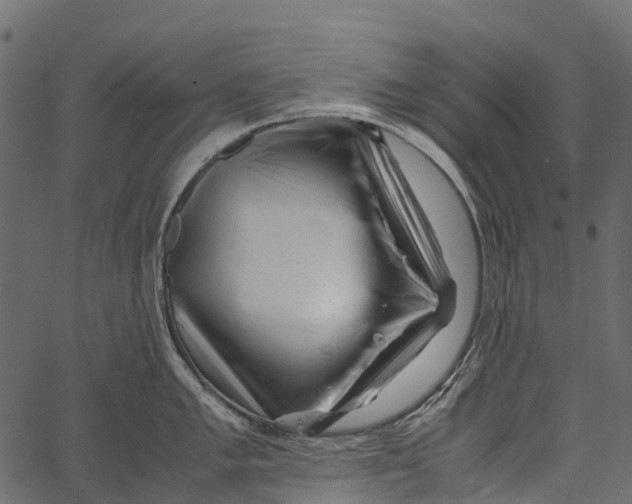 X0000062631005200601111055