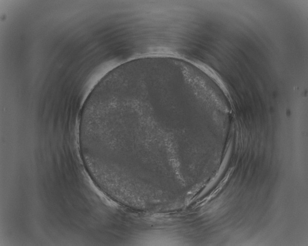 X0000062631006200601111055