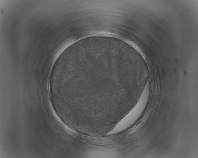 X0000062631007200601111055