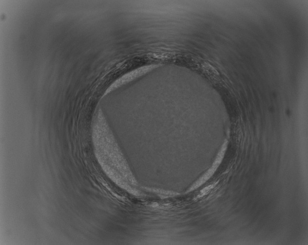 X0000062631009200601111054