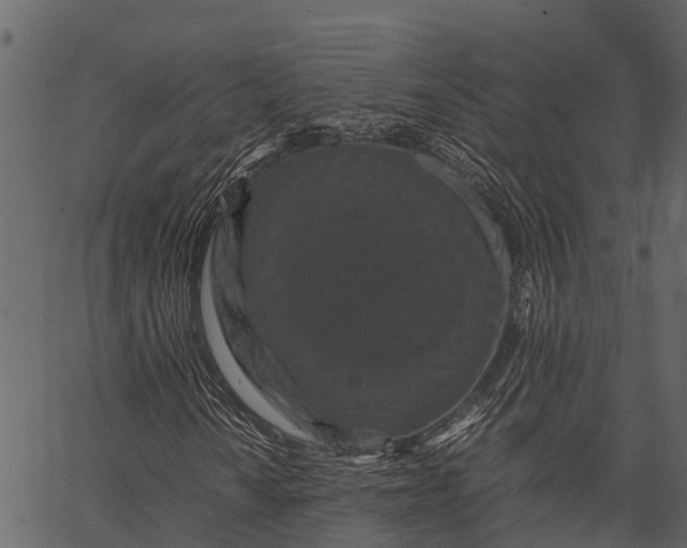 X0000062631010200601111054