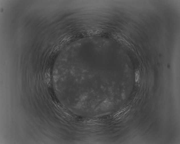 X0000062631011200601111054