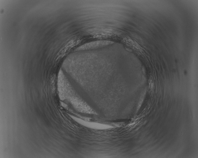 X0000062631012200601111054