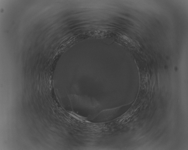 X0000062631013200601111054