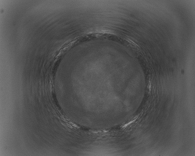 X0000062631014200601111054