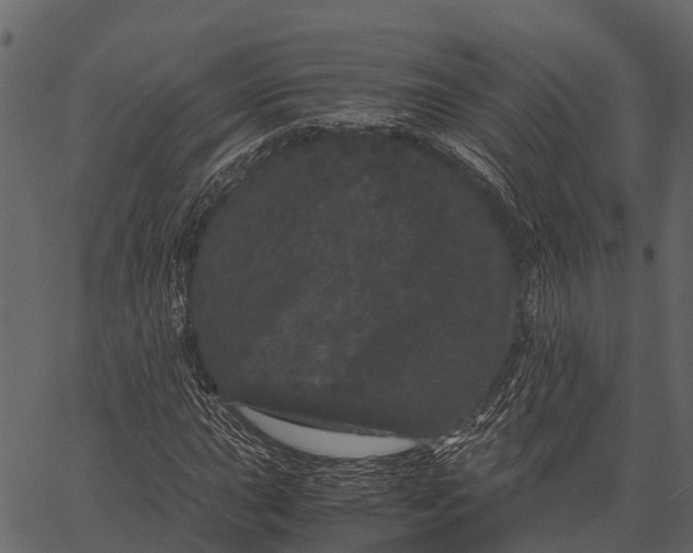 X0000062631015200601111054