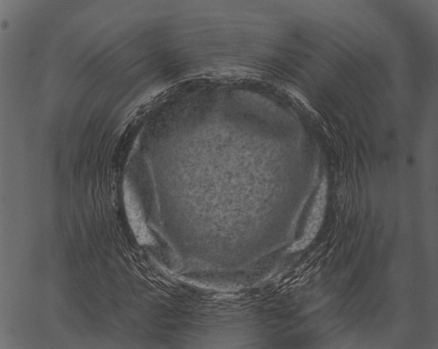 X0000062631016200601111054