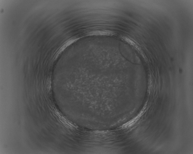 X0000062631017200601111054