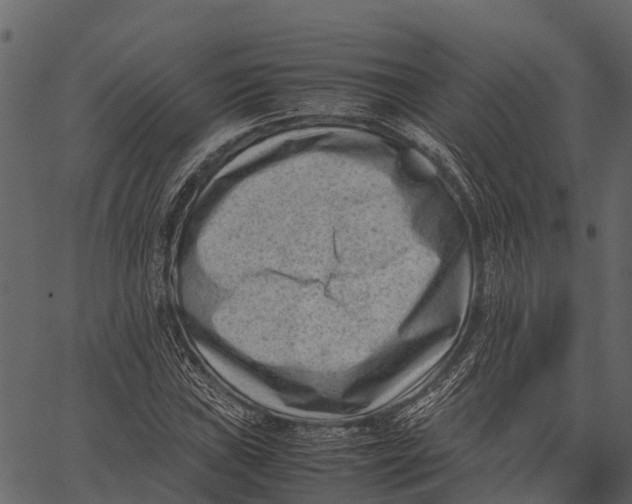 X0000062631019200601111054