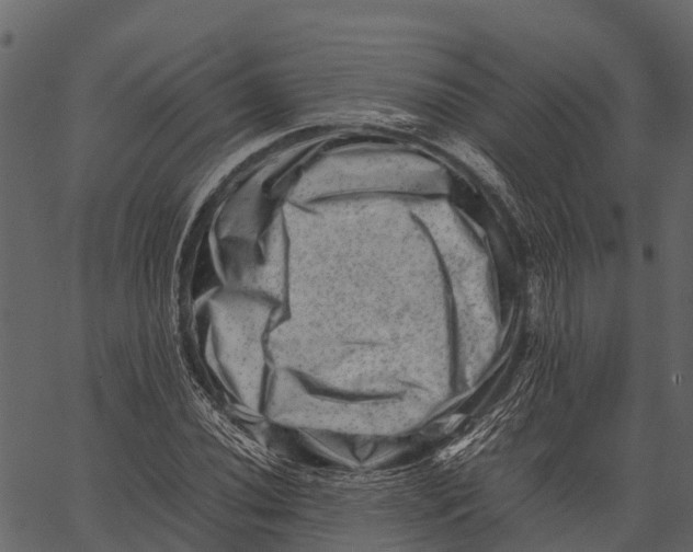 X0000062631020200601111054