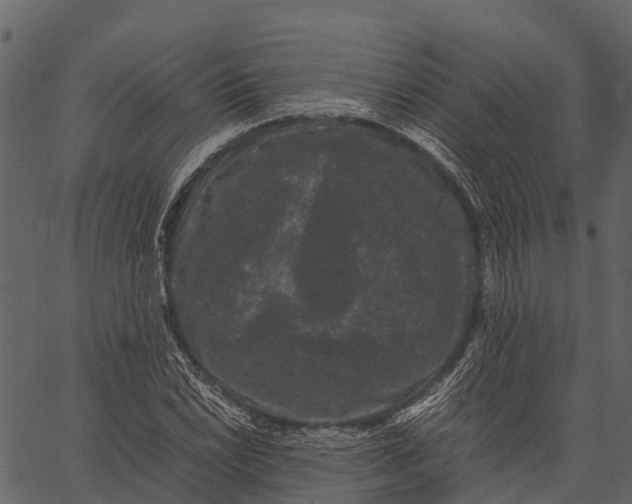 X0000062631022200601111054