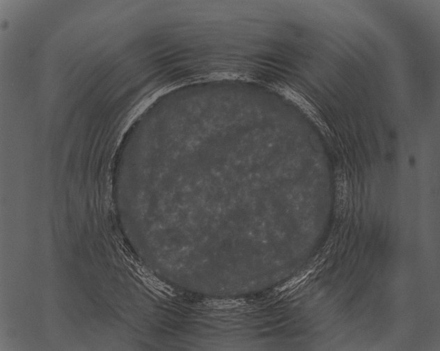 X0000062631023200601111054