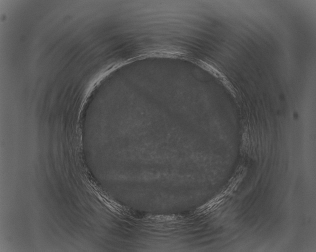 X0000062631027200601111054