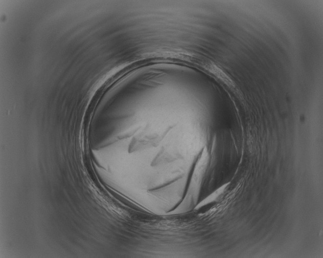 X0000062631028200601111055