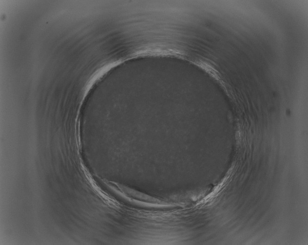 X0000062631030200601111055