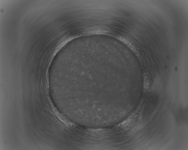 X0000062631031200601111055