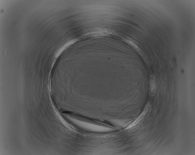 X0000062631034200601111055