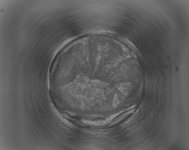 X0000062631036200601111055