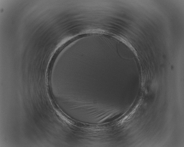 X0000062631037200601111055