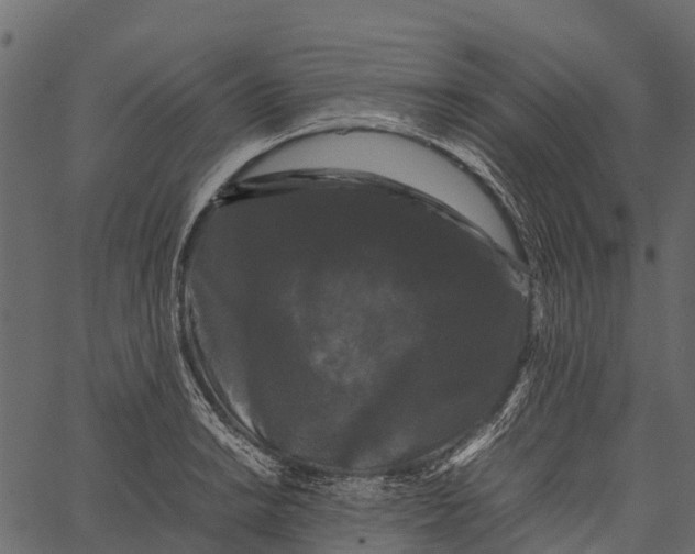 X0000062631038200601111055