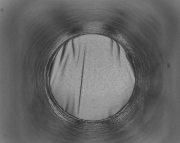 X0000062631039200601111055