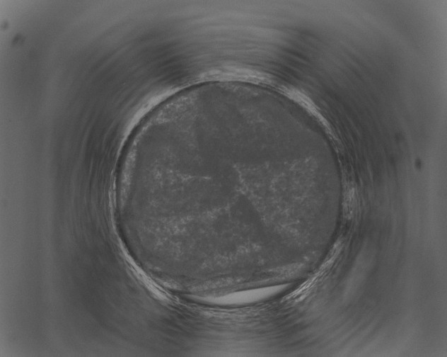 X0000062631040200601111055