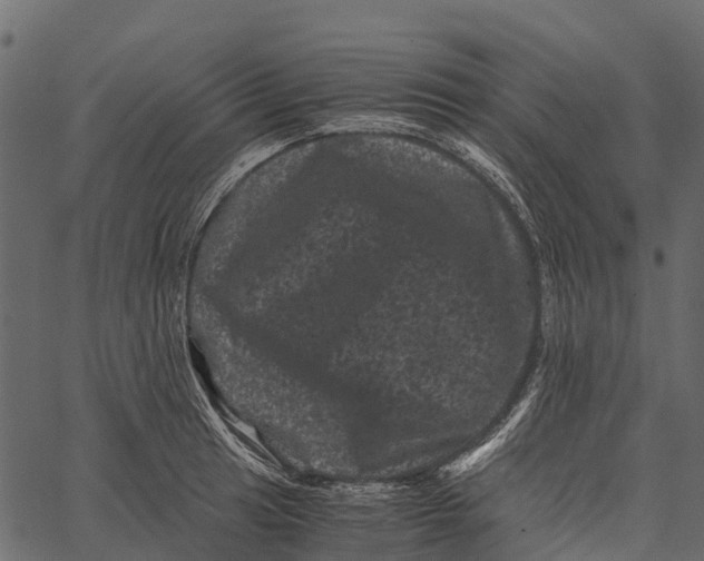 X0000062631041200601111055