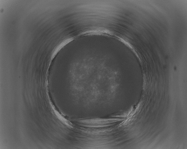 X0000062631042200601111055