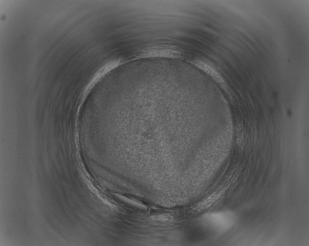 X0000062631043200601111055