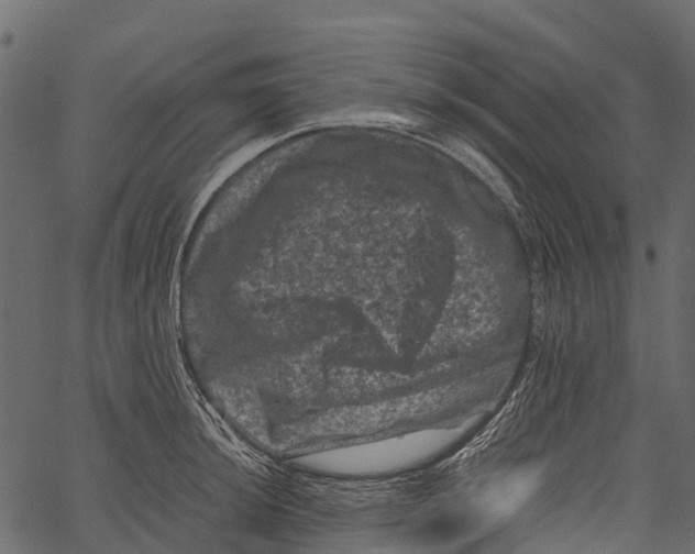 X0000062631044200601111055