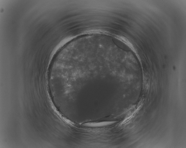 X0000062631045200601111055