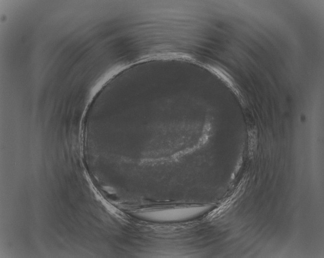 X0000062631046200601111055