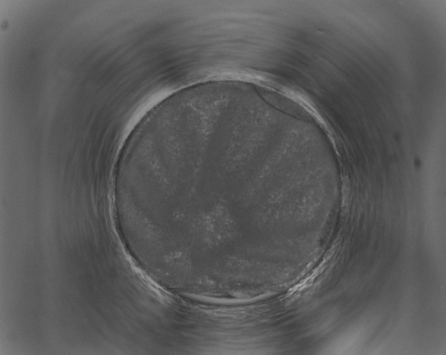 X0000062631048200601111055