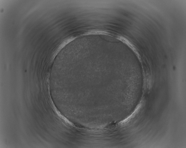 X0000062631049200601111055