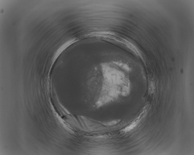 X0000062631050200601111055