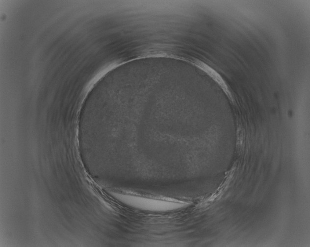 X0000062631051200601111055