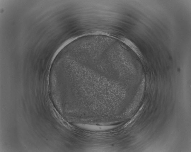 X0000062631052200601111055