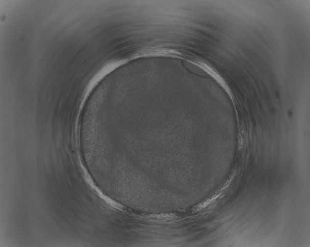 X0000062631053200601111055