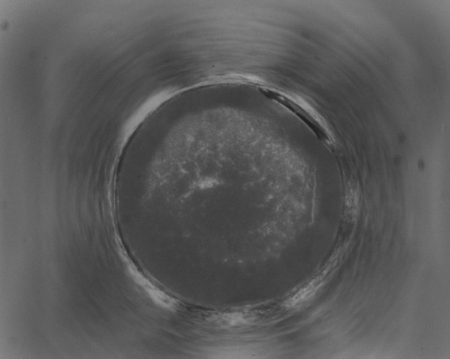 X0000062631054200601111055